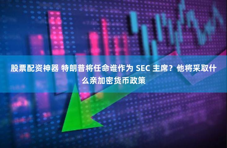 股票配资神器 特朗普将任命谁作为 SEC 主席？他将采取什么亲加密货币政策