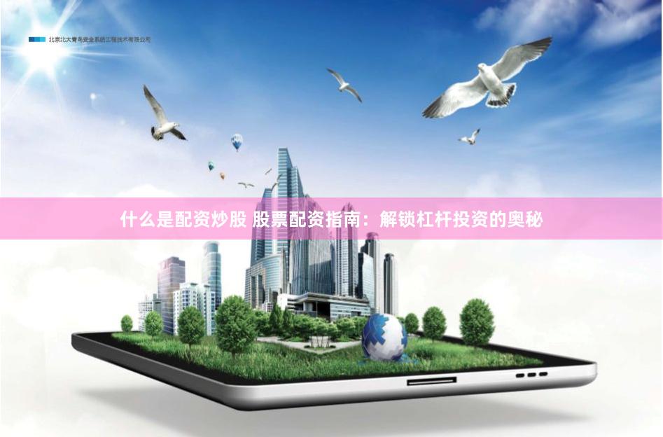什么是配资炒股 股票配资指南：解锁杠杆投资的奥秘