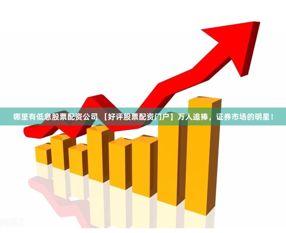 哪里有低息股票配资公司 【好评股票配资门户】万人追捧，证券市场的明星！